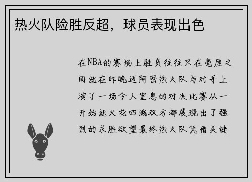 热火队险胜反超，球员表现出色